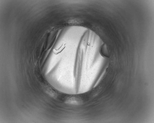 X0000082170755200702021726