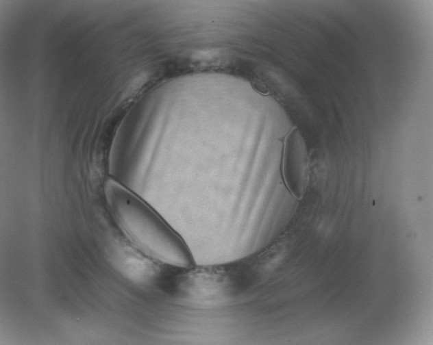 X0000082170756200702021726