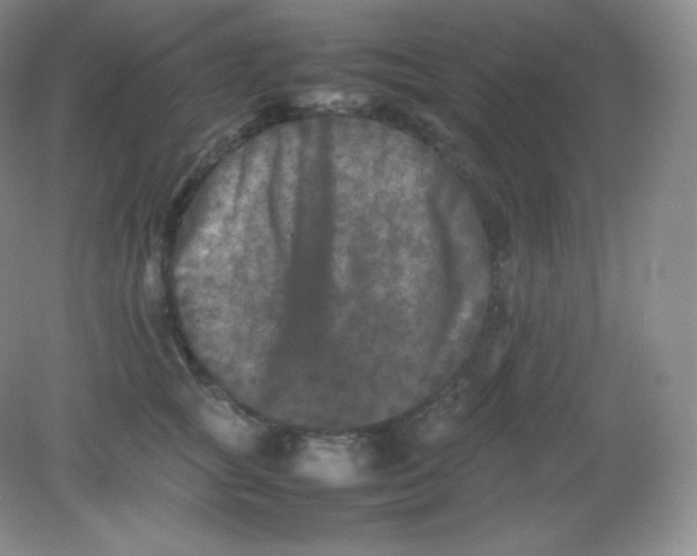 X0000082170757200702021726