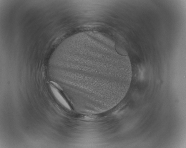 X0000082170758200702021726