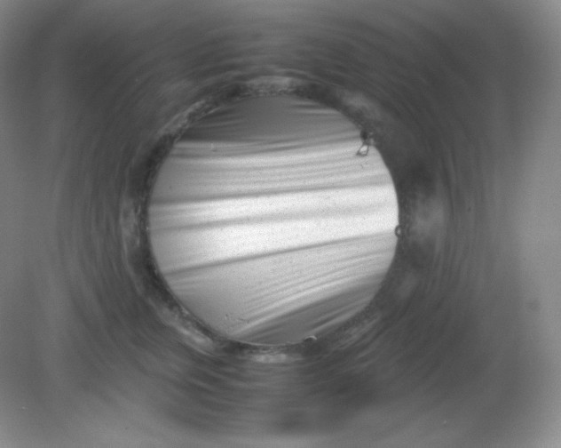 X0000082170759200702021726