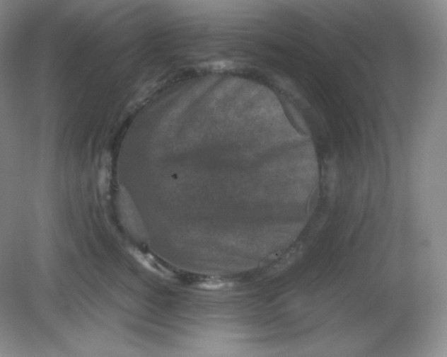 X0000082170760200702021726