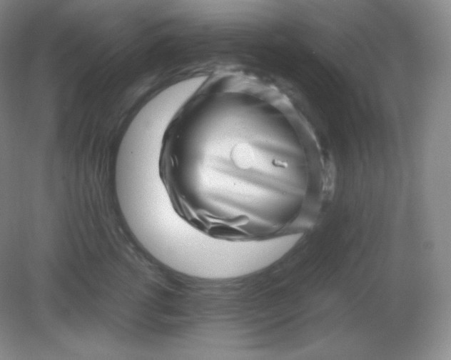 X0000082170762200702021726