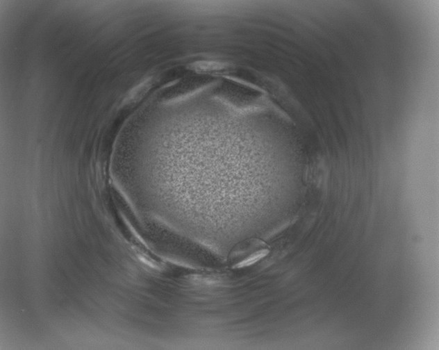 X0000082170763200702021726