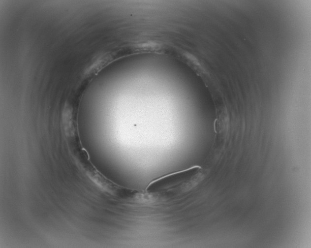 X0000082170764200702021726