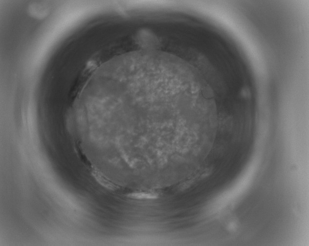 X0000082170765200702021726