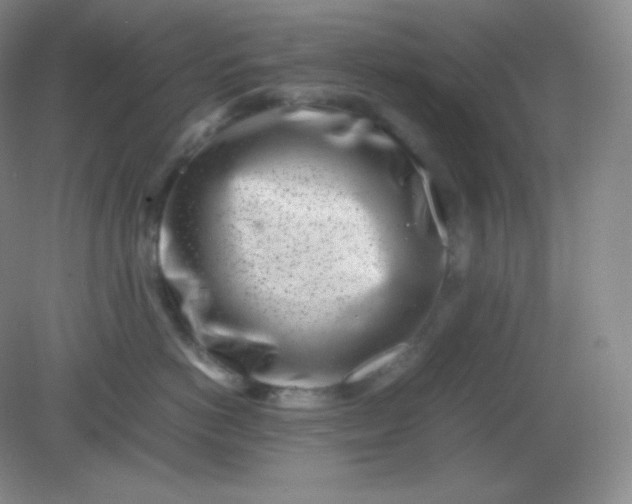 X0000082170766200702021726