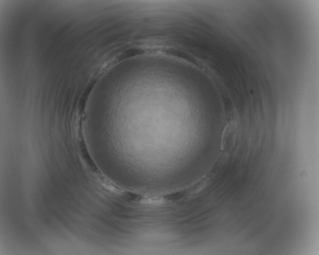 X0000082170767200702021726