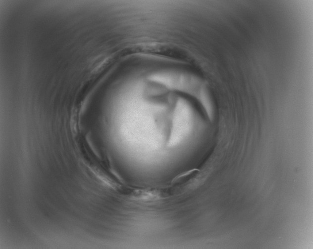 X0000082170768200702021726