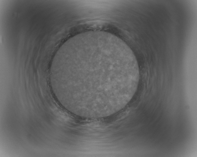 X0000082170769200702021726