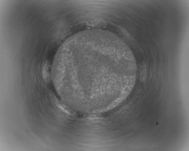 X0000082170770200702021726