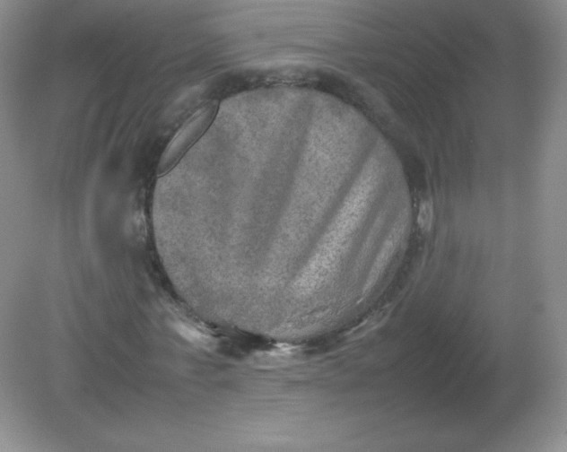 X0000082170771200702021726