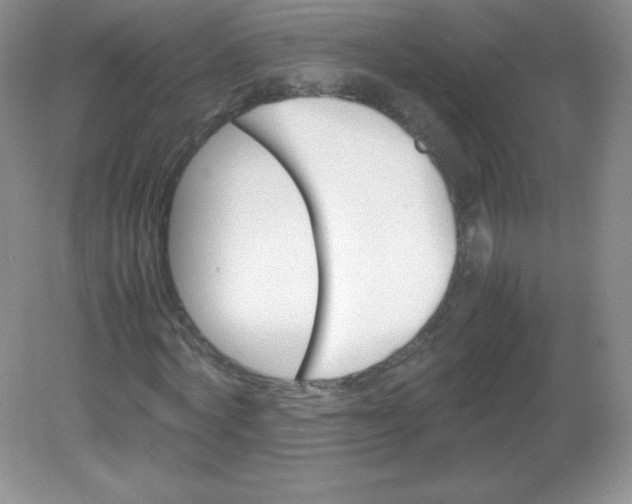 X0000082170772200702021726