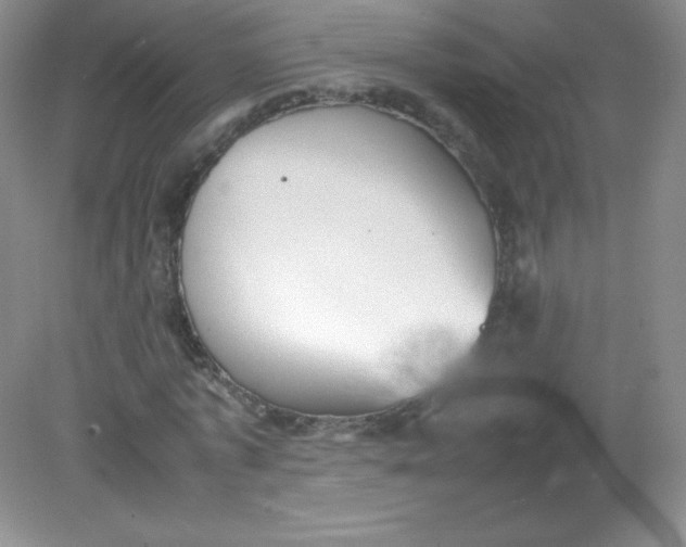 X0000082170773200702021726