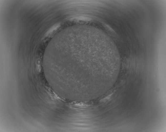 X0000082170774200702021726