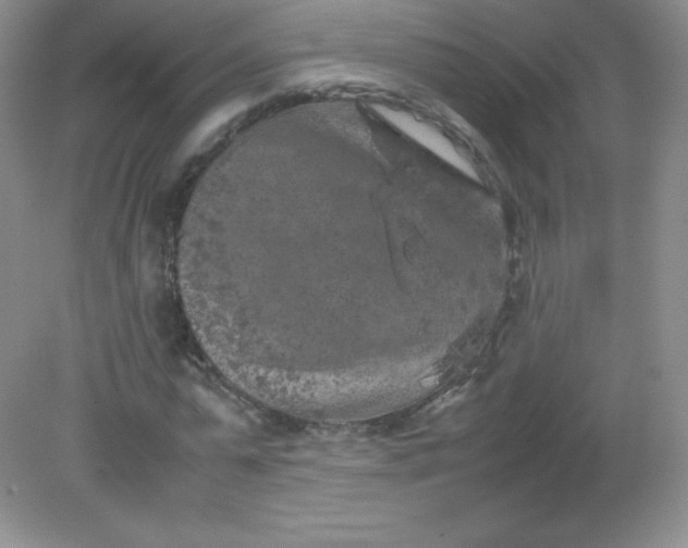 X0000082170775200702021725