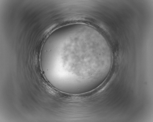 X0000082170777200702021725