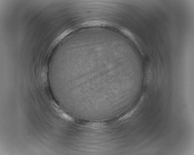 X0000082170778200702021725