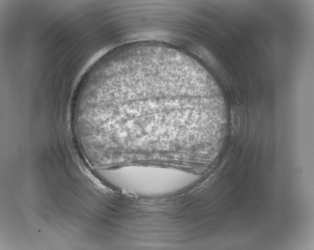 X0000082170780200702021725