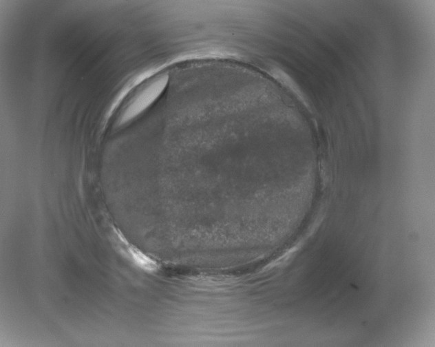 X0000082170781200702021725