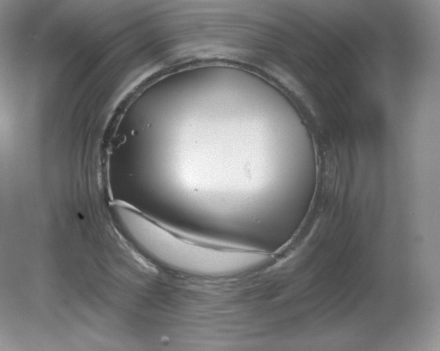 X0000082170782200702021725