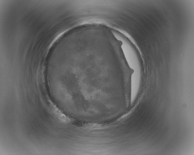 X0000082170783200702021725