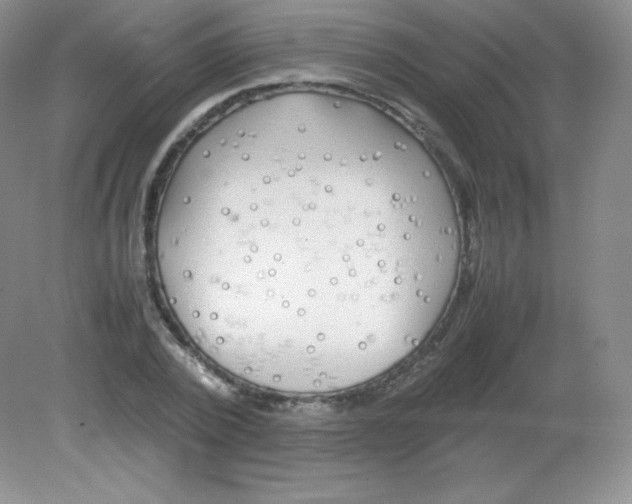 X0000082170784200702021725