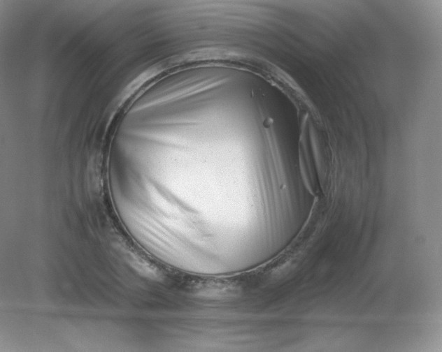 X0000082170786200702021725