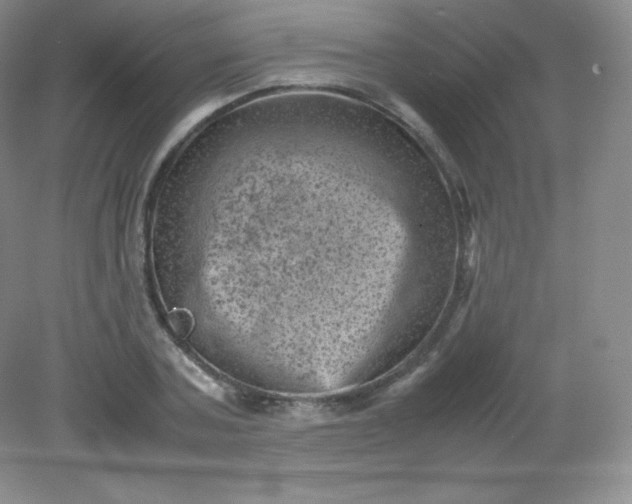 X0000082170787200702021725