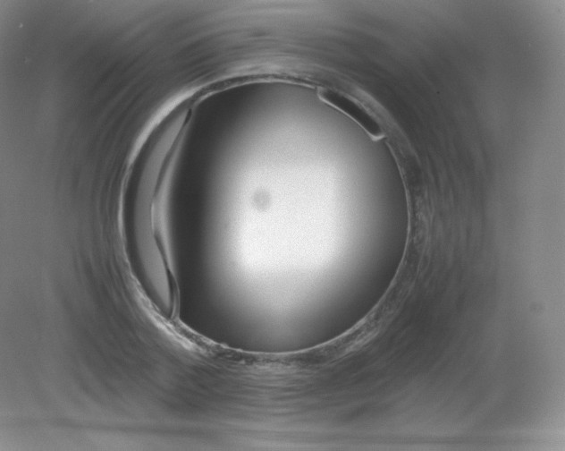 X0000082170788200702021725