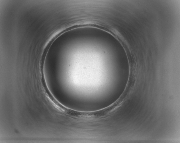 X0000082170789200702021725