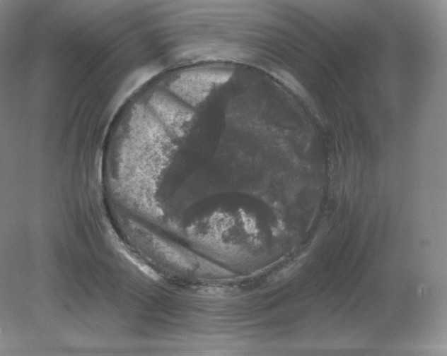 X0000082170790200702021725