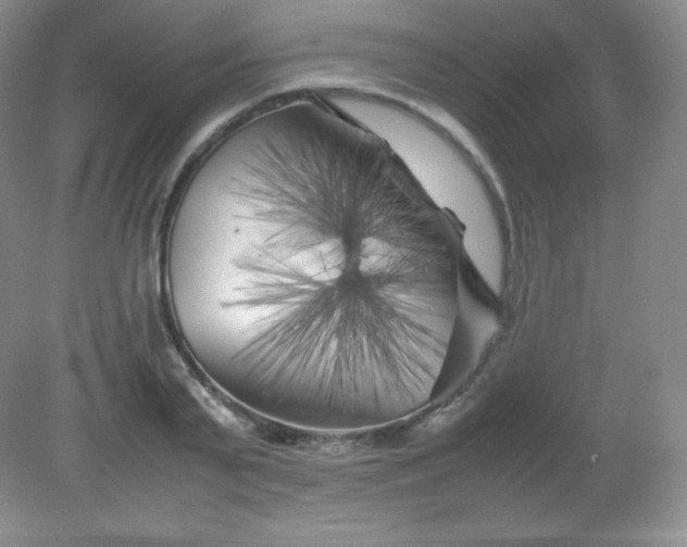 X0000082170791200702021725