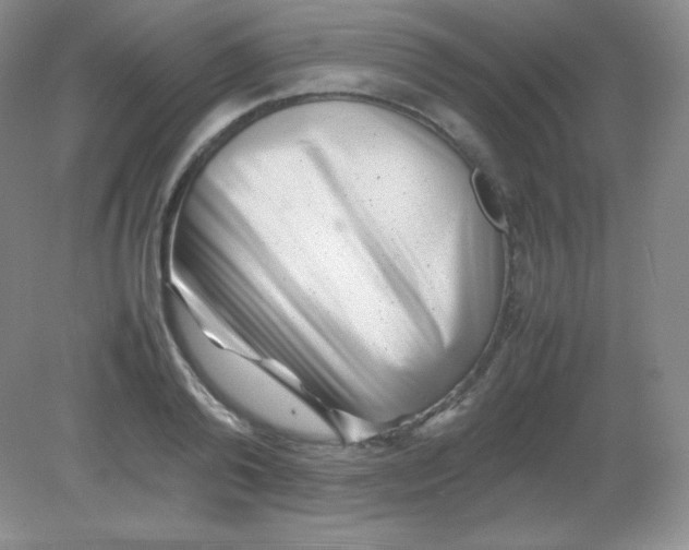 X0000082170792200702021725