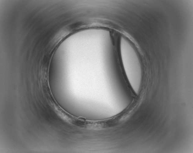 X0000082170793200702021725