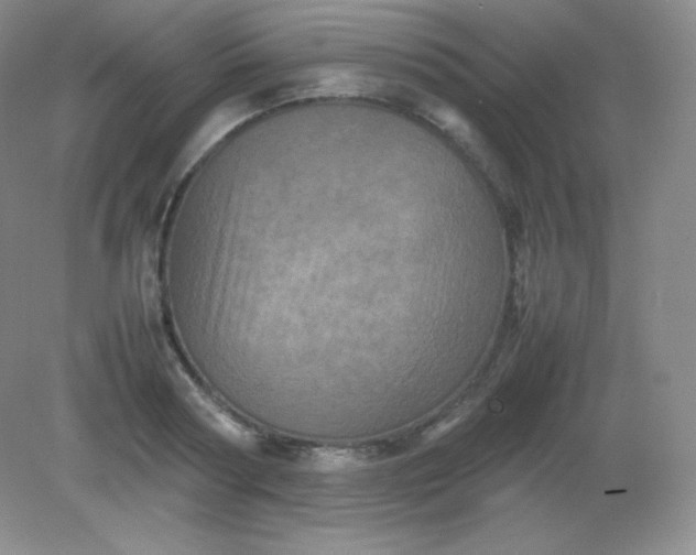 X0000082170794200702021725