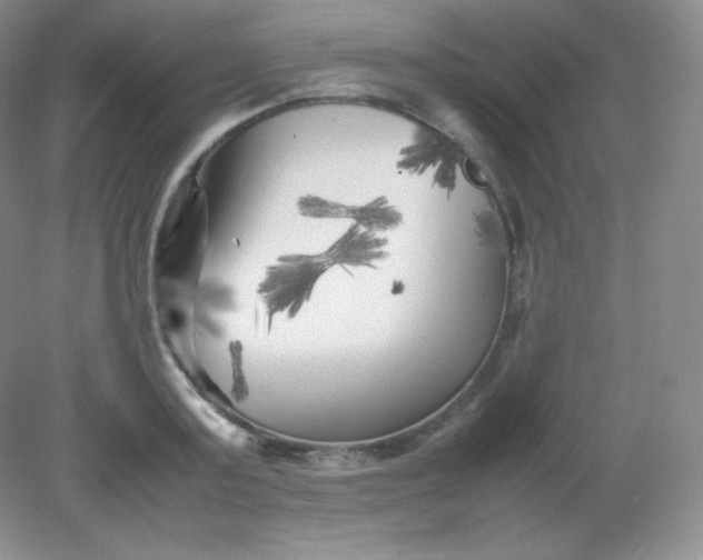 X0000082170795200702021725