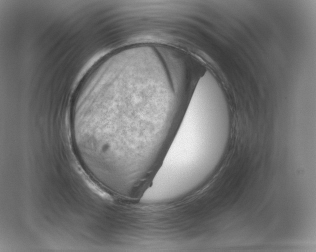 X0000082170796200702021725