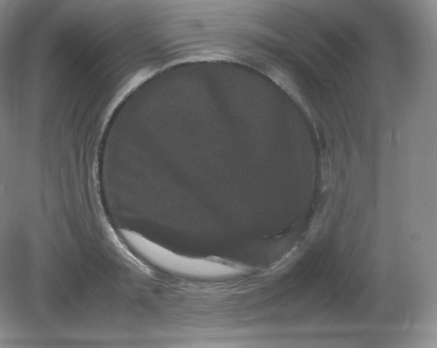 X0000082170797200702021725