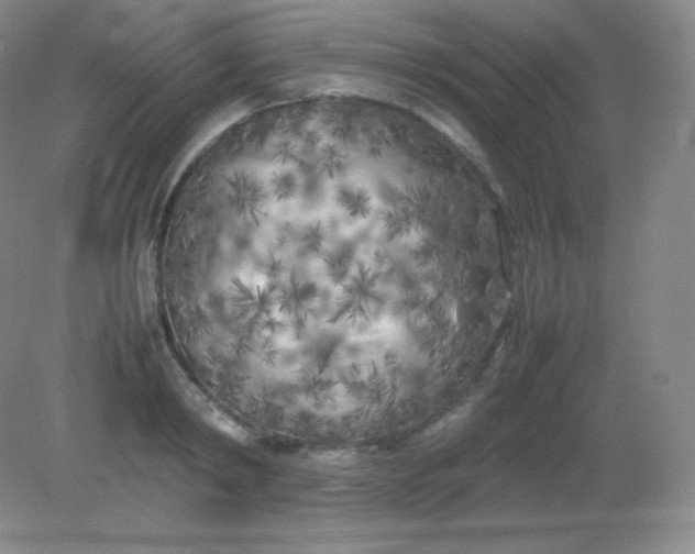 X0000082170798200702021725