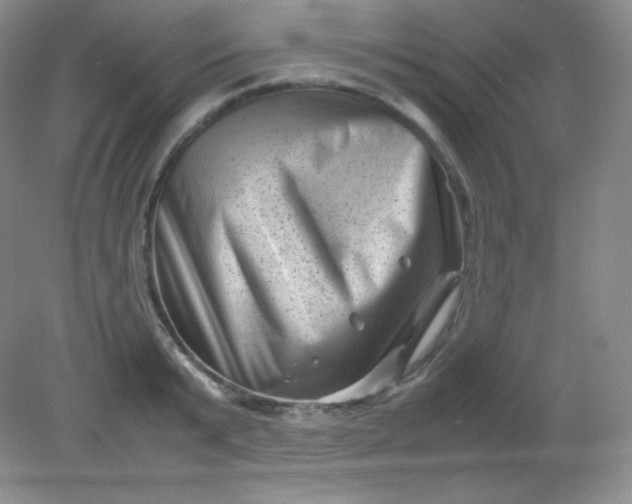 X0000082170799200702021725