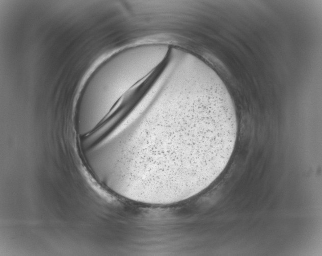 X0000082170800200702021725