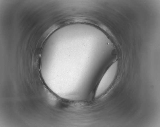 X0000082170801200702021725