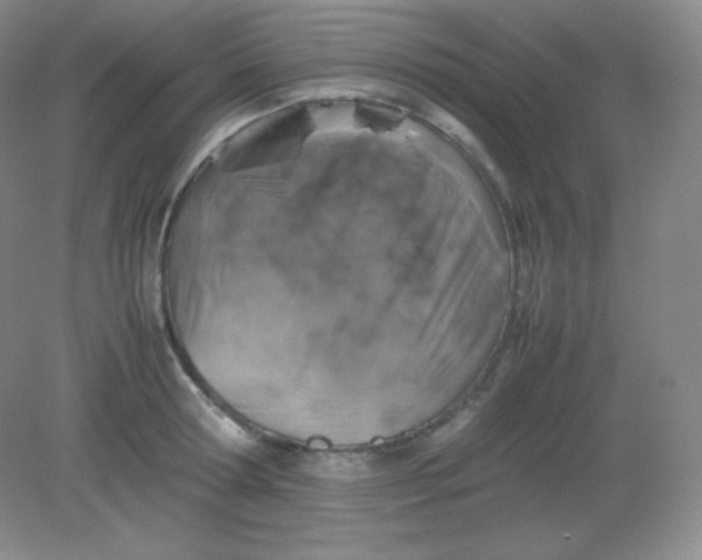 X0000082170802200702021725