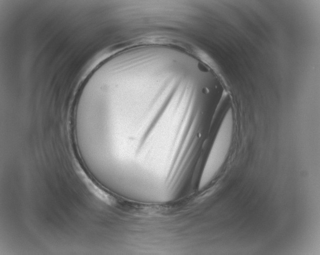 X0000082170803200702021725