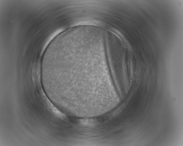 X0000082170804200702021725