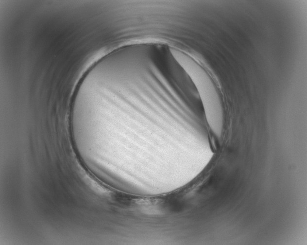 X0000082170805200702021725