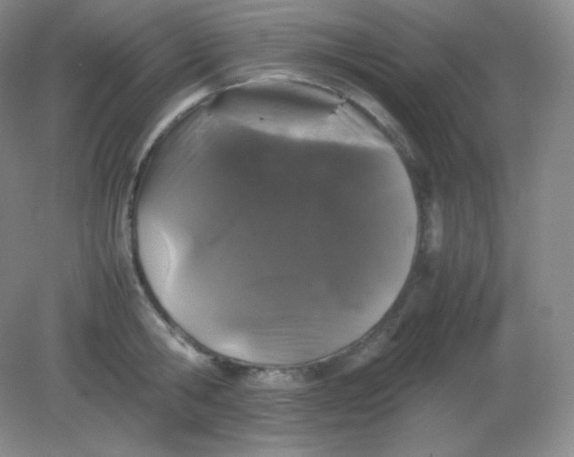 X0000082170806200702021725