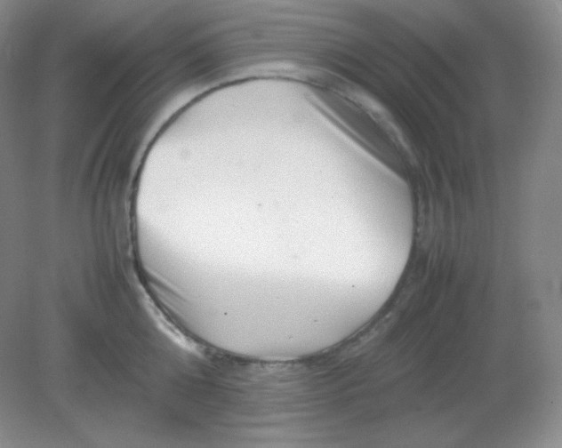 X0000082170808200702021725