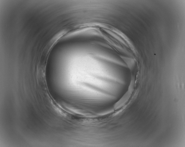 X0000082170809200702021725